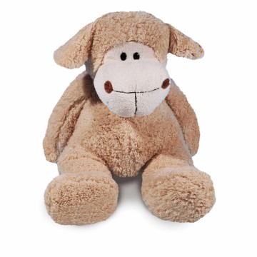 Schaap